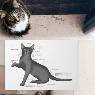 Anatomy of a Cat Doormat