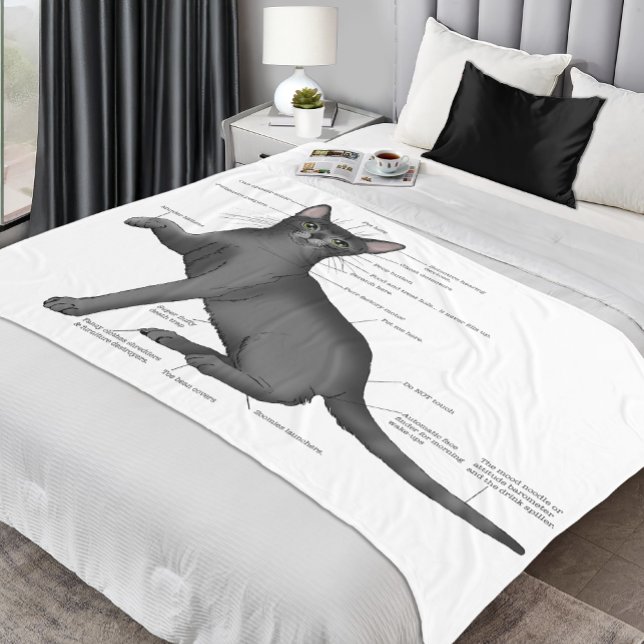 Anatomy of a Cat Fleece Blanket (Creator Uploaded)