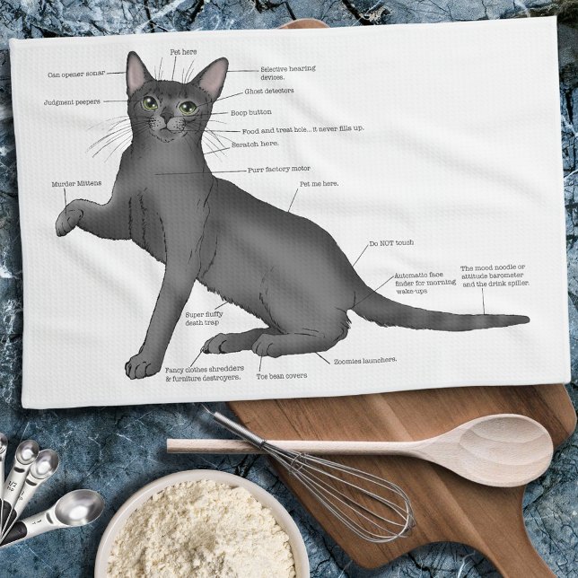Anatomy of a Cat Kitchen Towel (Creator Uploaded)