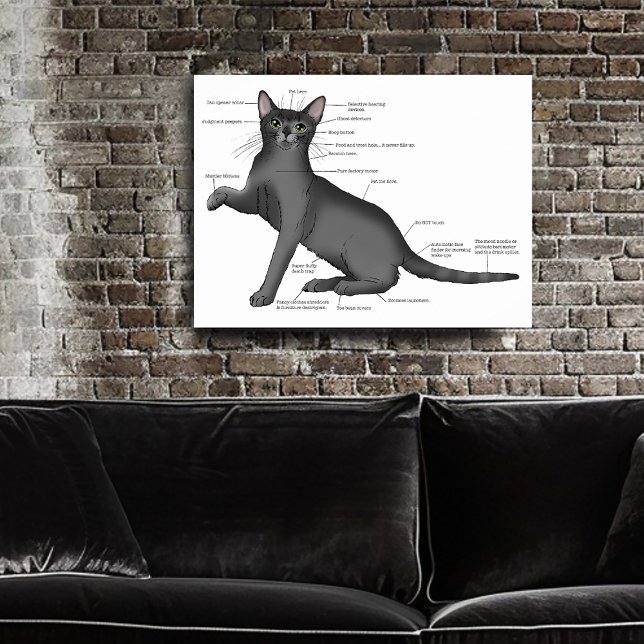 Anatomy of a Cat Poster (Creator Uploaded)