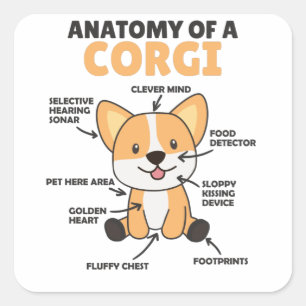 Anatomy Of A Corgi Cute Dogs Funny Puppy Square Sticker