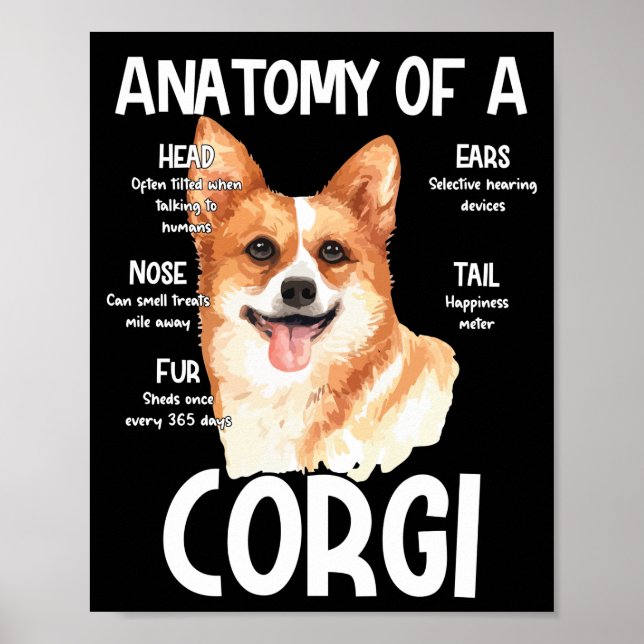 Anatomy Of A Corgi For Dog Lovers Poster (Front)