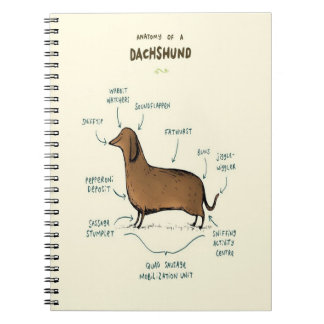 Anatomy Of A Dachshund | Dachshund Dog Lovers Notebook