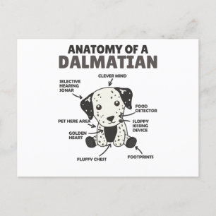 Anatomy Of A Dalmatian Sweet Dogs Funny Puppy Postcard