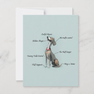 Anatomy of a Dog Birthday Card