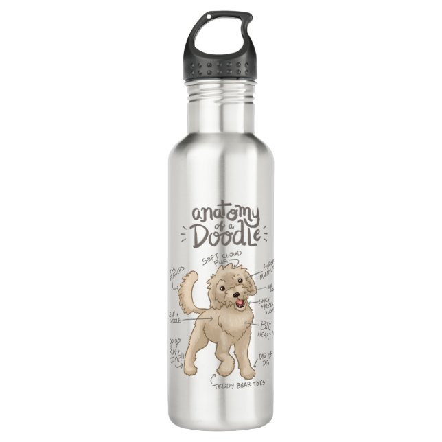 Anatomy of a Doodle Dog 710 Ml Water Bottle (Front)