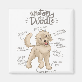 Anatomy of a Doodle Dog Magnet