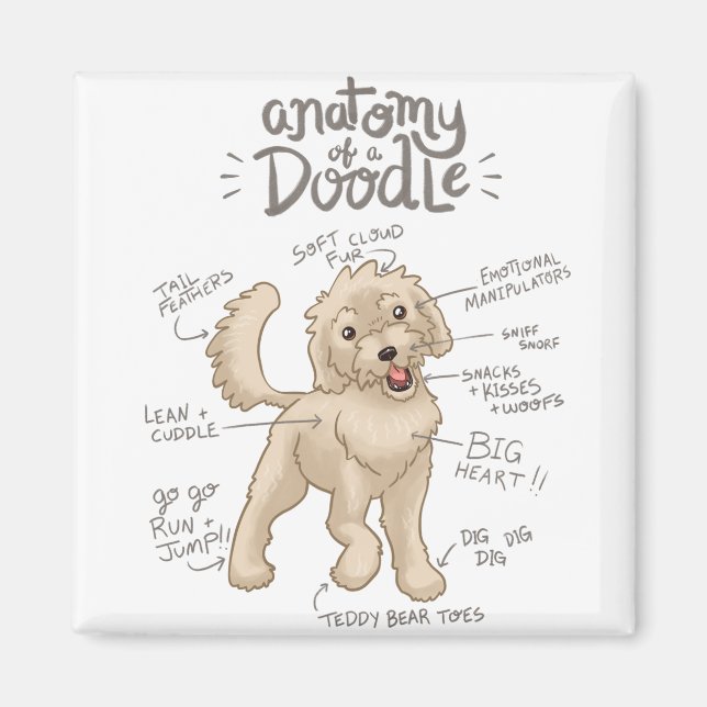 Anatomy of a Doodle Dog Magnet (Front)