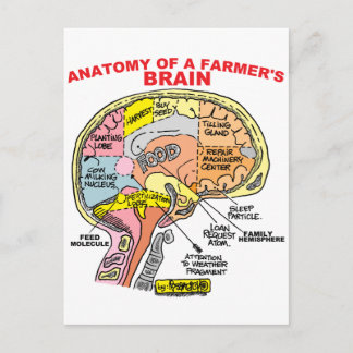 ANATOMY OF A FARMER'S BRAIN POSTCARD