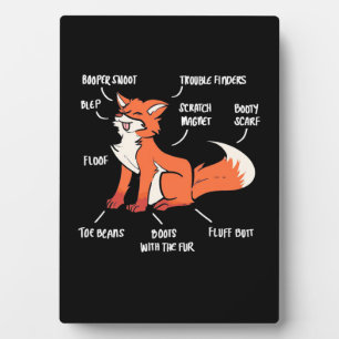 Anatomy Of A Fox Plaque