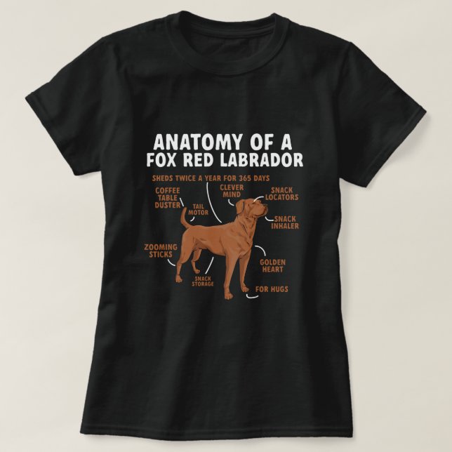 Anatomy Of A Fox Red Labrador Retriever Foxred Lab T-Shirt (Design Front)