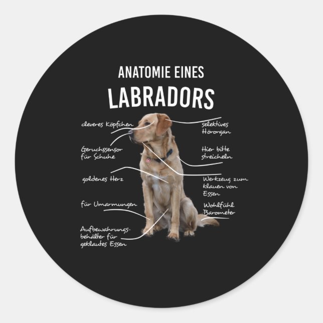 Anatomy Of A Funny Labrador Retriever Dog Classic Round Sticker (Front)