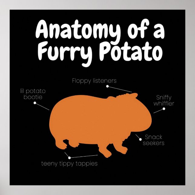 Anatomy Of A Furry Potato | Cute Guinea Pig Poster (Front)