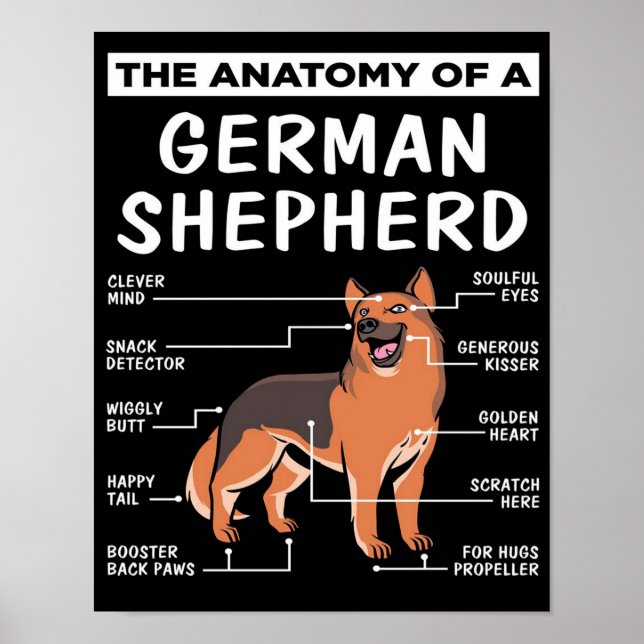 Anatomy Of A German Shepherd Dog Lover Poster (Front)