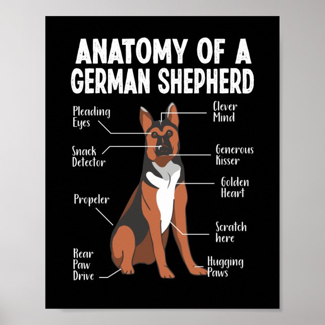 Anatomy Of a German Shepherd  Dog Mom Poster (Front)