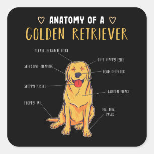 Anatomy of a Golden Retriever Funny Gift Square Sticker