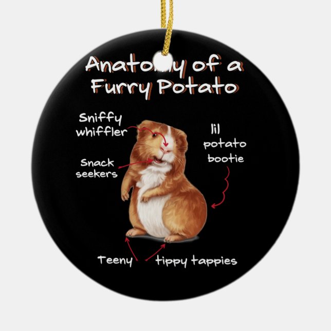 Anatomy Of A Guinea Pig Funny Furry Potato Pet Ceramic Ornament (Front)