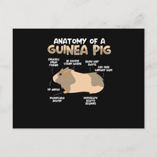 Anatomy of a Guinea Pig Postcard