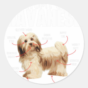 Anatomy Of A Havanese - Cuban Havaneser Havanezer  Classic Round Sticker