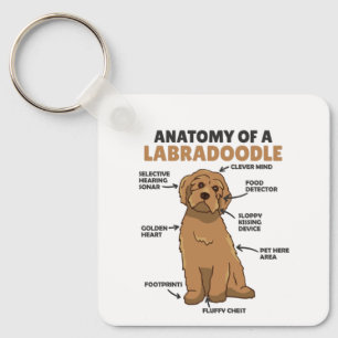 Anatomy Of A Labradoodle Cute Canine Puppy Keychain