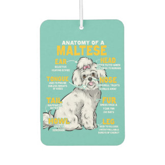 anatomy of a maltese  dog lover  air freshener