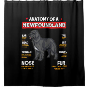 Anatomy Of A Newfoundland Dogs Lovers