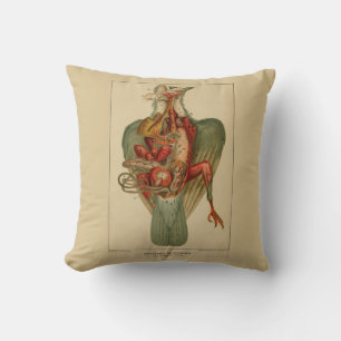 Anatomy of a Pigeon Throw Pillow