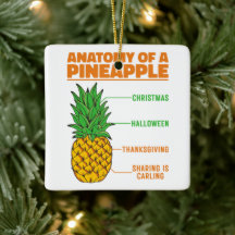 Anatomy Of A Pineapple Lovers Holidays Family Cool