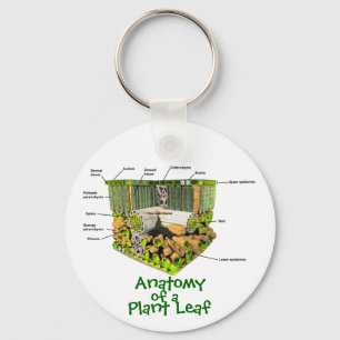 Anatomy of a Plant Leaf key chain