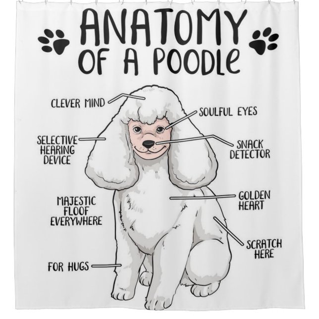 Anatomy Of A Poodle Lover Gift (Front)