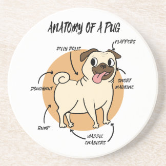 ANATOMY OF A PUG COASTER