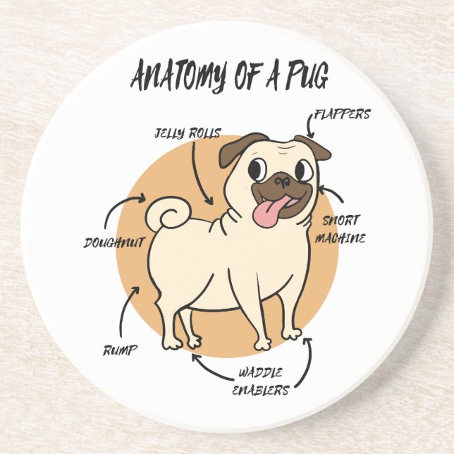 ANATOMY OF A PUG COASTER (Front)