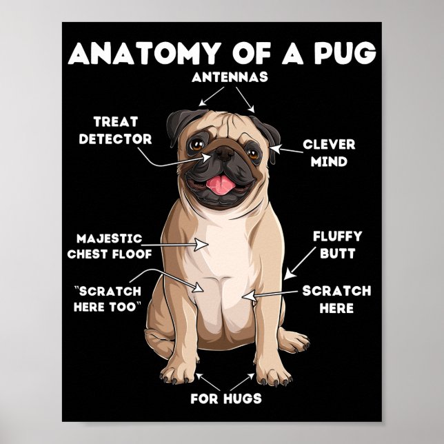 Anatomy of a Pug Poster (Front)