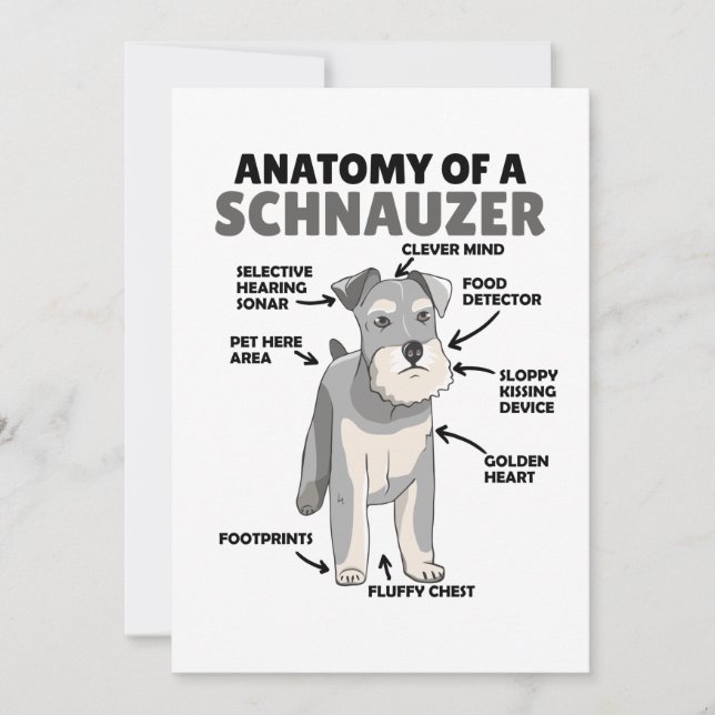 Anatomy Of A Schnauzer Cute Dog Puppy Invitation (Front)