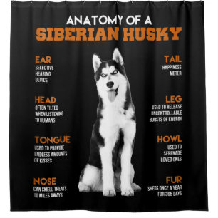 Anatomy of a Siberian Husky dogs funny Art
