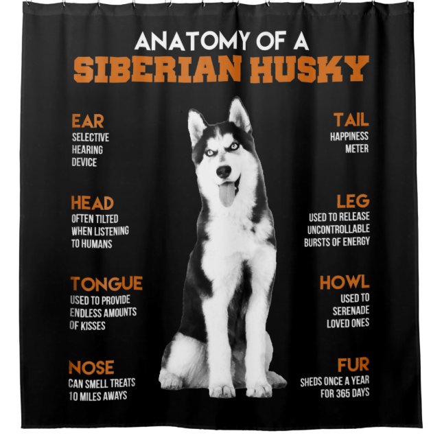 Anatomy of a Siberian Husky dogs funny Art (Front)