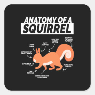 Anatomy Of A Squirrel Square Sticker