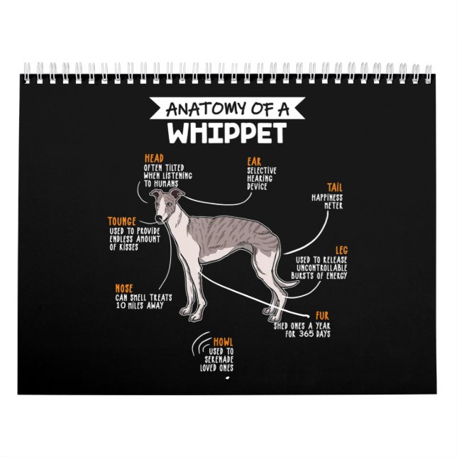 anatomy of a whippet dog funny dog lover gift calendar (Cover)