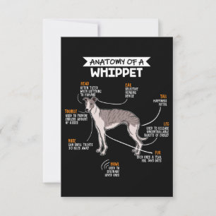 anatomy of a whippet dog funny dog lover gift thank you card