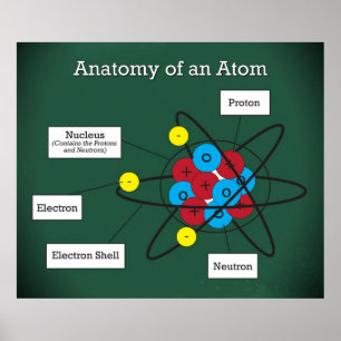 Anatomy of an Atom *UPDATED* Poster