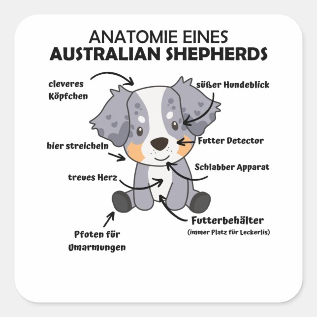 Anatomy Of An Australian Shepherd Sweet Dogs Square Sticker (Front)