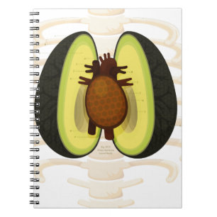 Anatomy of an Avocado Notebook