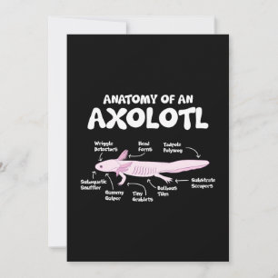 anatomy of an axolotl  axolotls biology science holiday card