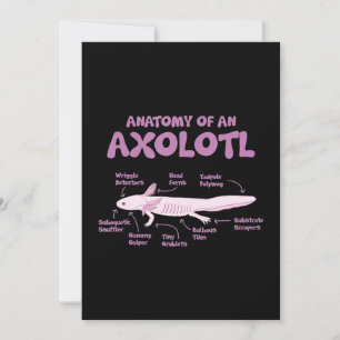 anatomy of an axolotl axolotls biology science . holiday card