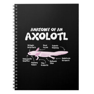 anatomy of an axolotl  axolotls biology science notebook