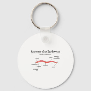 Anatomy Of An Earthworm Funny Worm Earthworm Lover Keychain