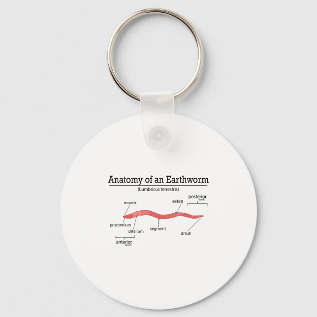 Anatomy Of An Earthworm Funny Worm Earthworm Lover Keychain (Front)