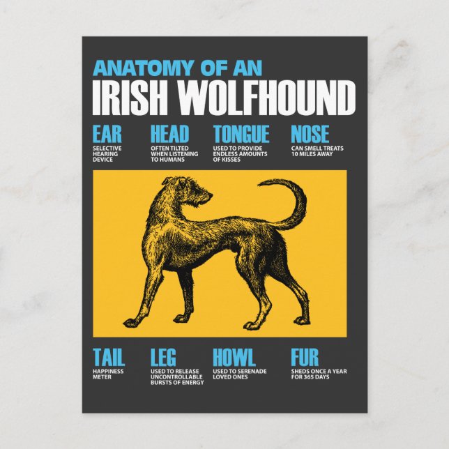 Anatomy Of An Irish Wolfhound Dog - Puppy Lover Postcard (Front)