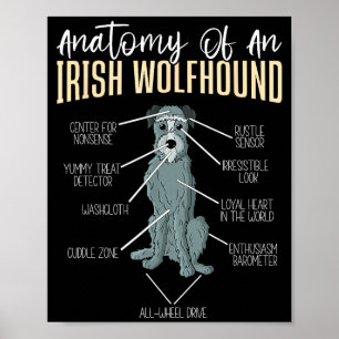 Anatomy Of An Irish Wolfhound Poster