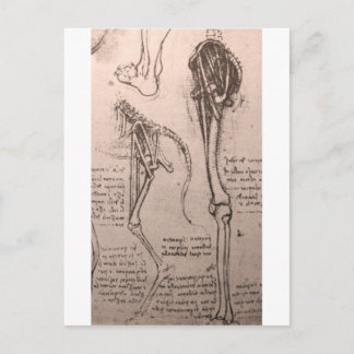 Anatomy of dog and man postcard